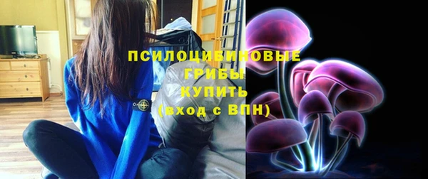 apvp Алексин