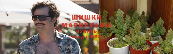 apvp Алексин