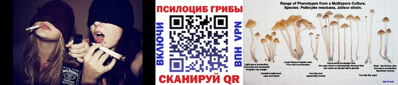 Галлюциногенные грибы прущие грибы  купить наркоту  сайты даркнета наркотические препараты  Еманжелинск 